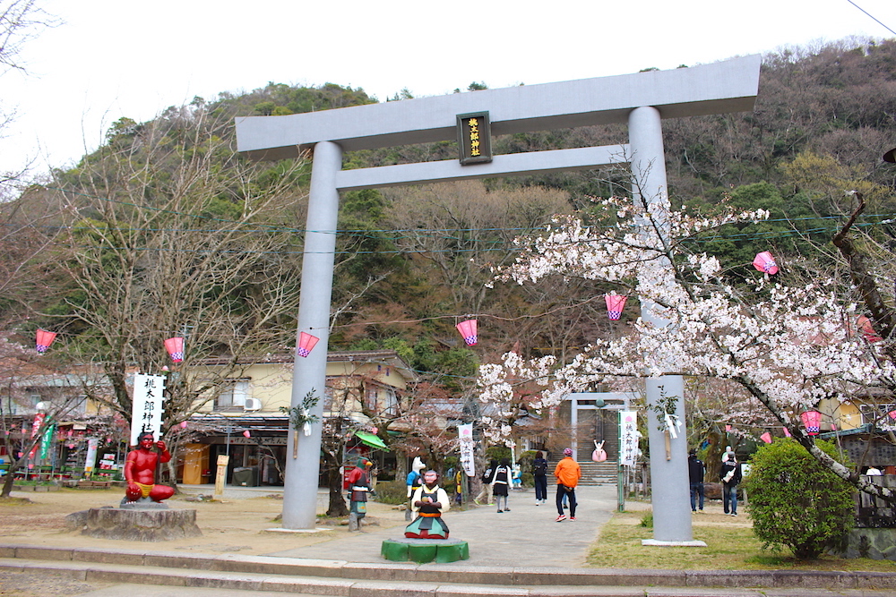 桜の木が隣にある神社の鳥居